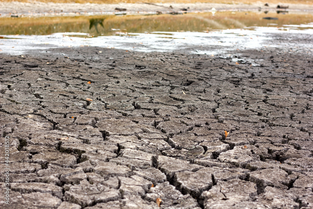 drought, dry cracked soil, dry lake shore close-up drought, dry cracked soil, dry lake shore close-up