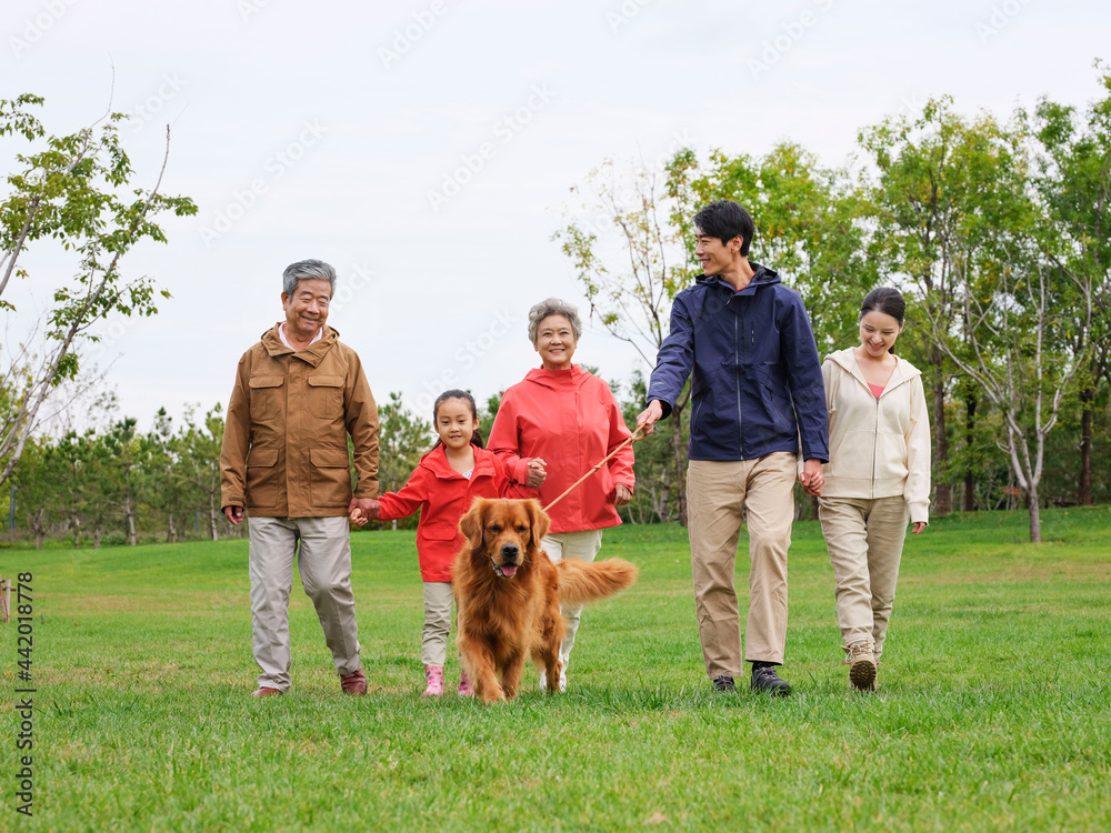 Fototapeta premium Happy family of five and pet dog walking in the park