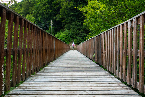 Wood bridge perspective in the italian alps