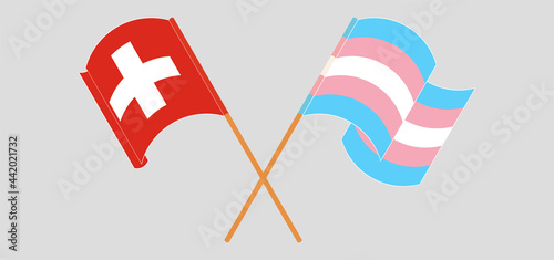 Crossed and waving flags of Switzerland and transgender pride