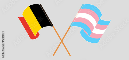 Crossed and waving flags of Belgium and transgender pride
