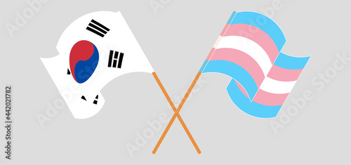 Crossed and waving flags of South Korea and transgender pride