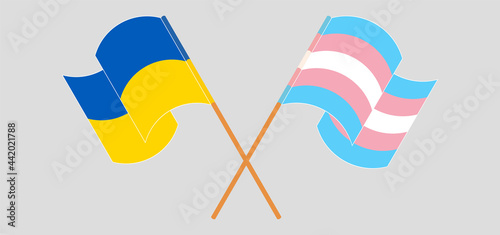 Crossed and waving flags of Ukraine and transgender pride
