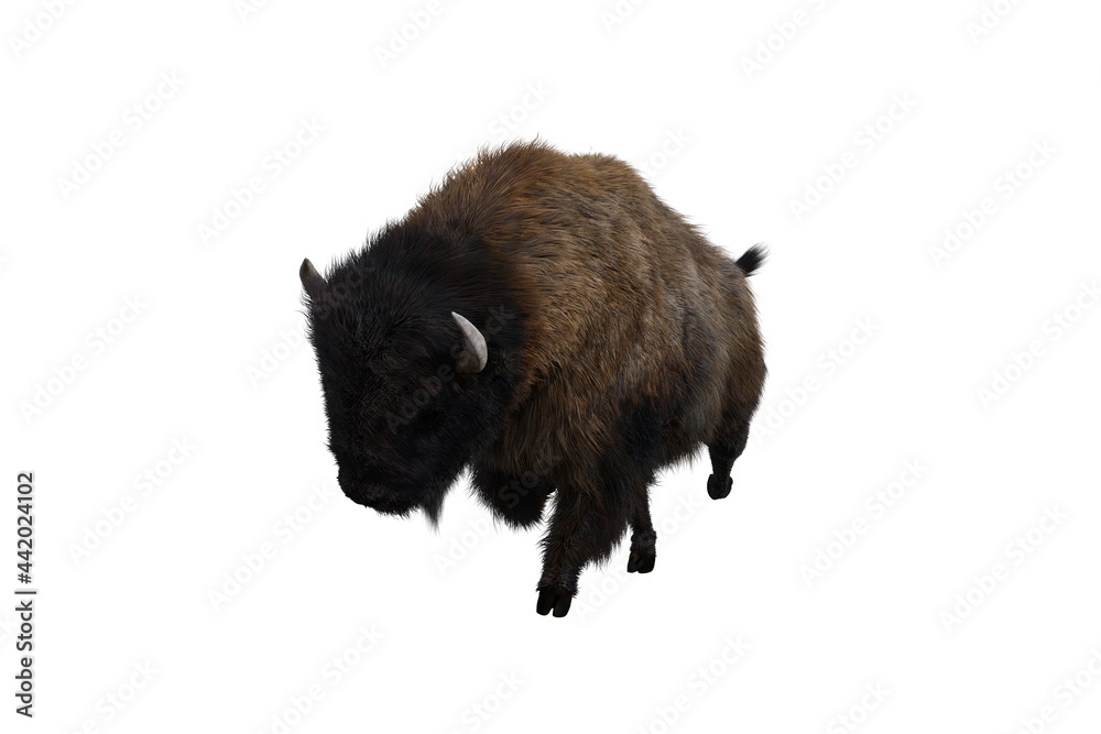 American bison, different poses isolated on a white background. 3D figure clip art as a template for collage. 3D rendering, 3D illustration. American bison, different poses isolated on a white background. 3D figure clip art as a template for collage. 3D rendering, 3D illustration.
