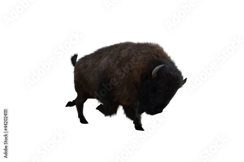 American bison, different poses isolated on a white background. 3D figure clip art as a template for collage. 3D rendering, 3D illustration.