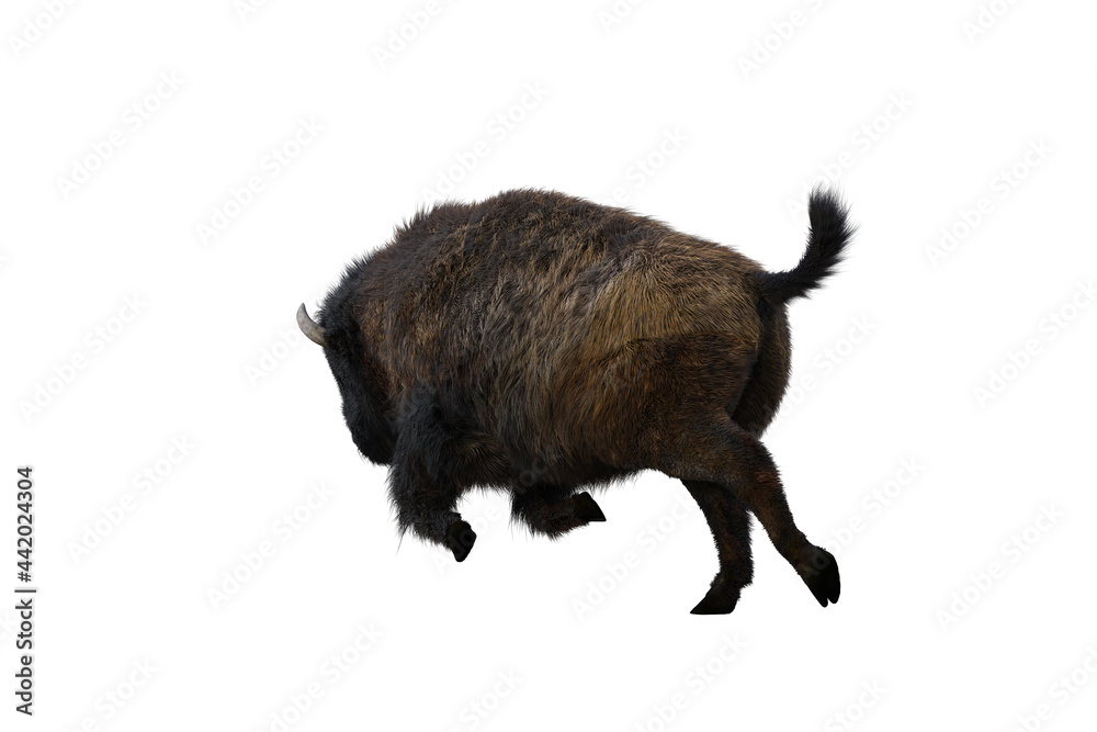 American bison, different poses isolated on a white background. 3D figure clip art as a template for collage. 3D rendering, 3D illustration. American bison, different poses isolated on a white background. 3D figure clip art as a template for collage. 3D rendering, 3D illustration.