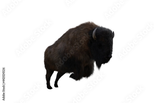 American bison, different poses isolated on a white background. 3D figure clip art as a template for collage. 3D rendering, 3D illustration.