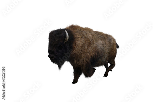 American bison, different poses isolated on a white background. 3D figure clip art as a template for collage. 3D rendering, 3D illustration.