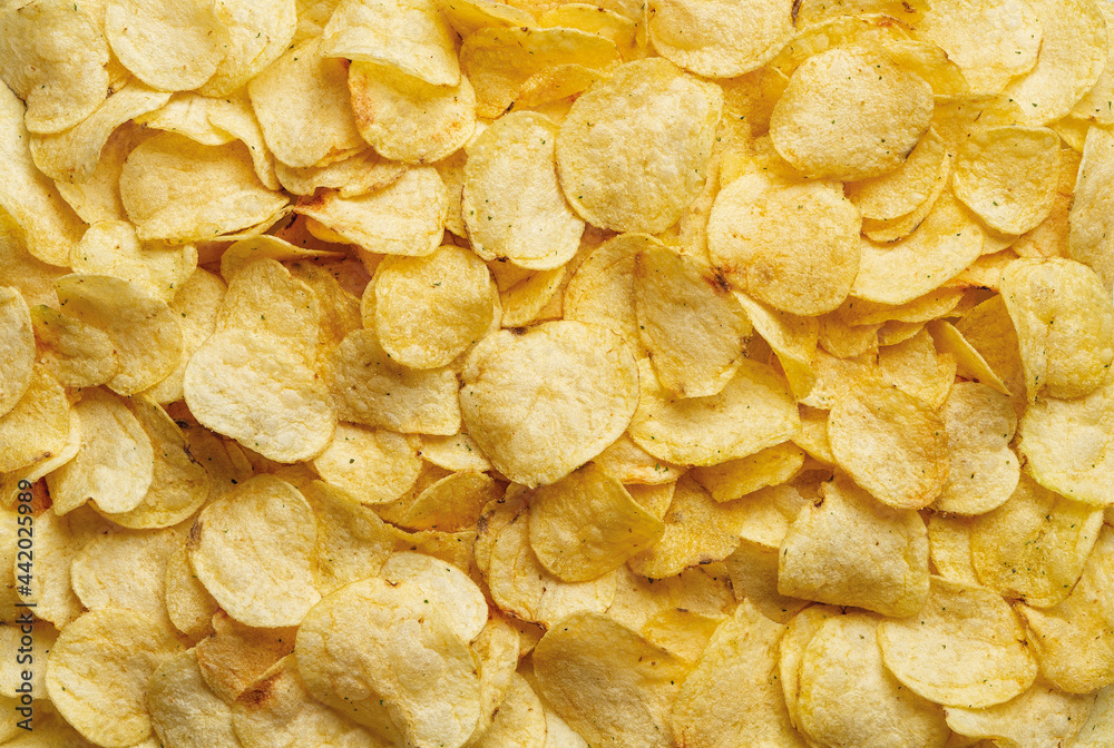 Texture of crispy potato chips. Delicious potato chips with dill as a background. Popular snack of potatoes deep-fried thin slices. Scattering of chips close-up. Unhealthy eating and junk food.