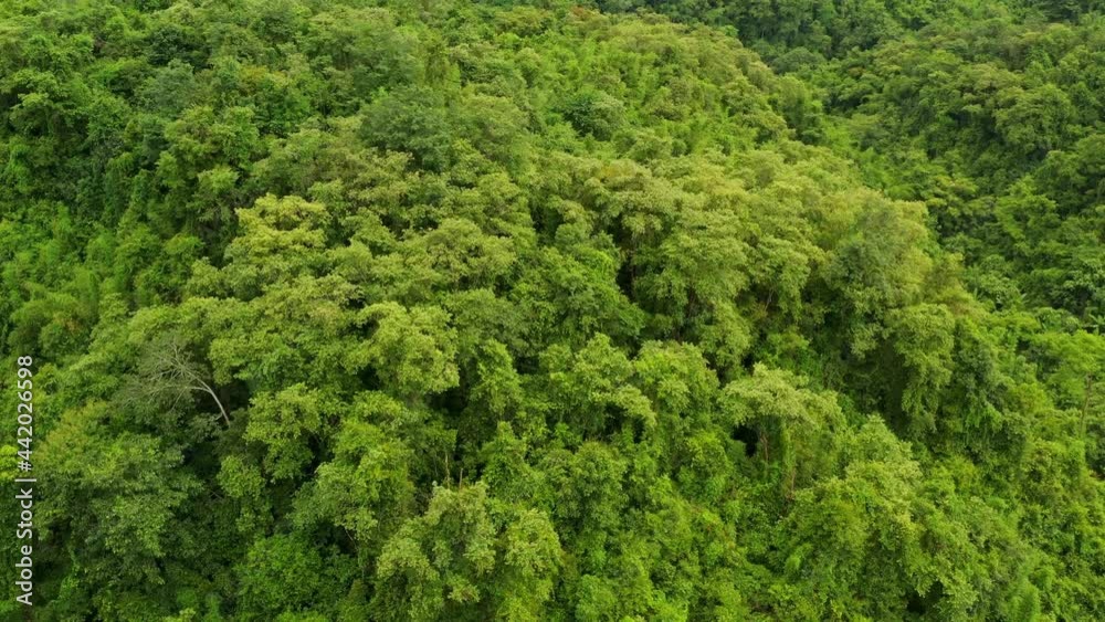 Aerial view flying above lush green tropical rain forest mountain the rainy season on the Doi Phuka Mountain reserve national park the Nan province northern Thailand. Aerial view flying above lush green tropical rain forest mountain the rainy season on the Doi Phuka Mountain reserve national park the Nan province northern Thailand.