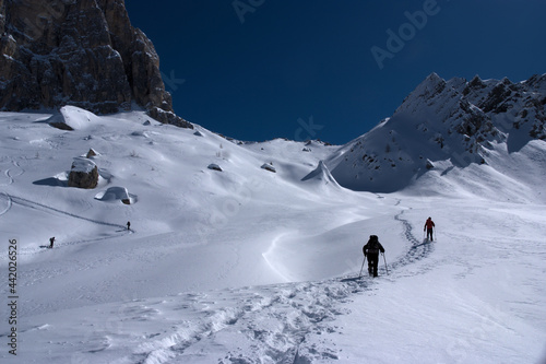 into the snow photo