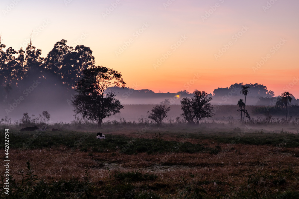 Farm field at sunrise