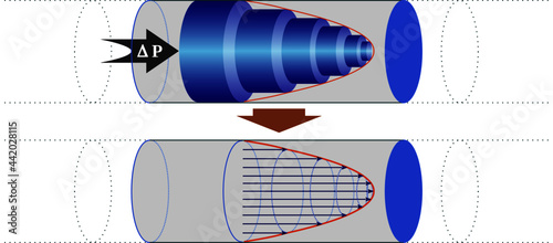 Quadro su tela Parabolic flow profile for fluids with constant viscosity that move through a pi