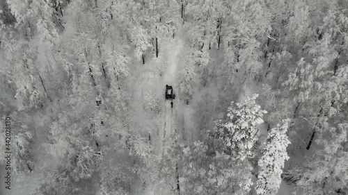 Aerial view of black SUV driving through deep white clean snow along trail in the mountains between trees. The jeep gets stuck among snowy mountains and tall pines and firs. Extreme travel, tourism