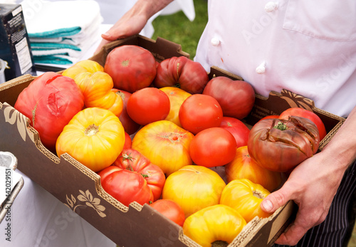 A carton of organic tomatoes. photo