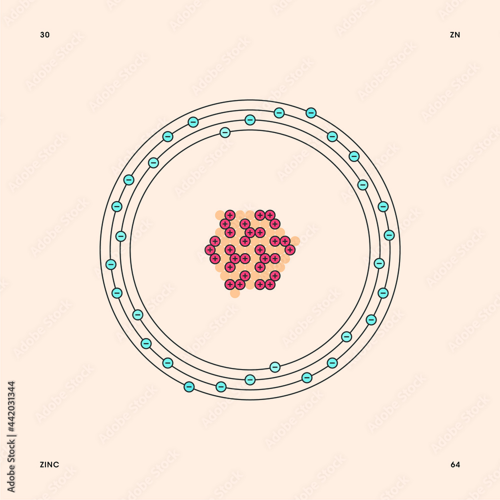Bohr model representation of the zinc atom, number 30 and symbol Zn