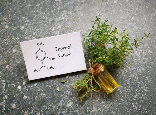 Thyme essential oil in a glass bottle with fresh green thyme twigs and structural chemical formula of thymol. Thymol is the major component of thyme oil. Aromatherapy concept. photo