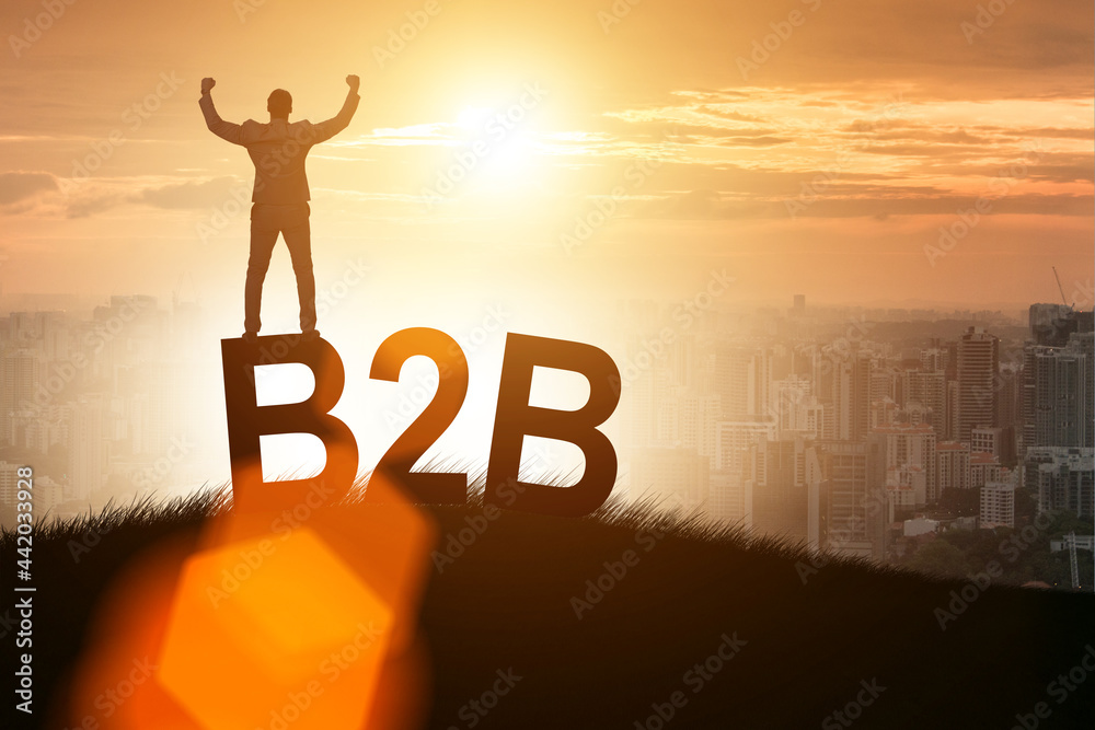 Business to business concept with businessman Business to business concept with businessman