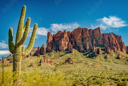 Fotografija saguaro and superstition mountains