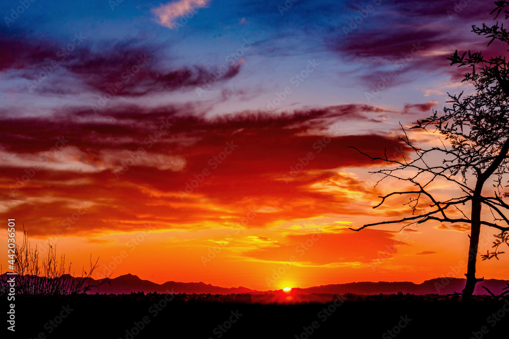 spectacular desert sunset