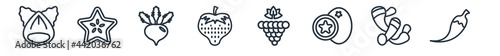 linear set of fruits outline icons. line vector icons such as hazelnut, carambola, beetroot, strawberry, blackberry, chili vector illustration.