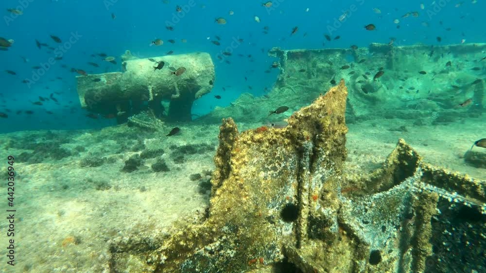 Shoal of fish swimming. Diving along sunken boat, shipwreck. Sun light rays