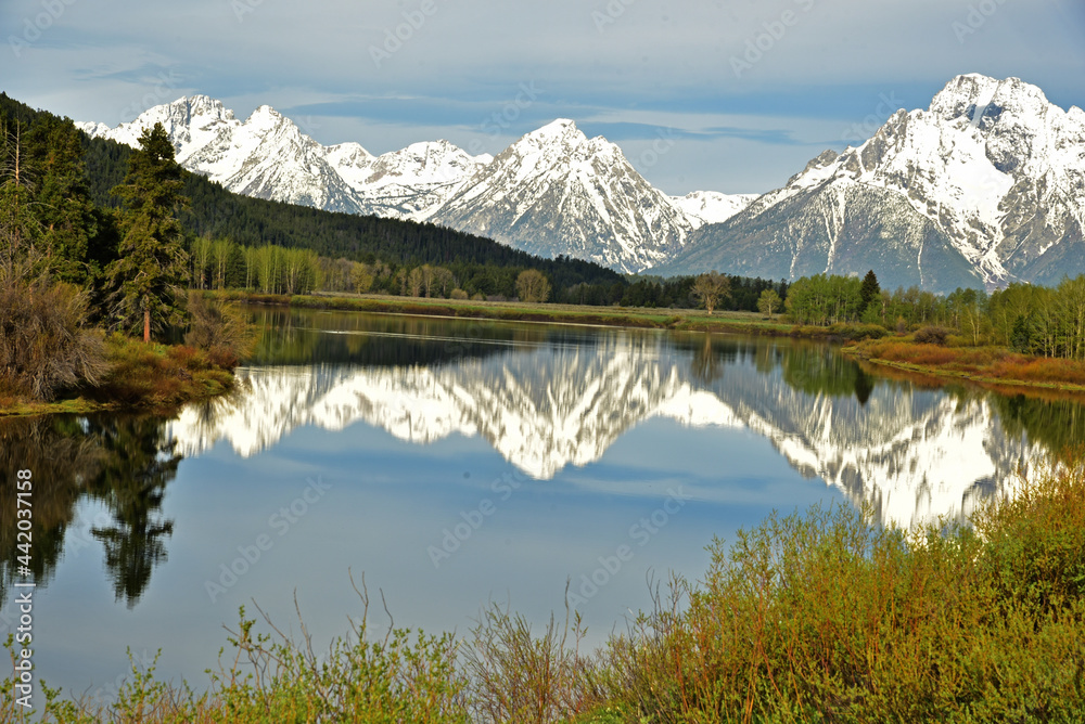 Oxbow Bend Reflection 2