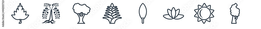 linear set of nature outline icons. line vector icons such as hawthorn tree, black willow tree, american chestnut tree, yucca, magnolia leaf, black birch vector illustration. linear set of nature outline icons. line vector icons such as hawthorn tree, black willow tree, american chestnut tree, yucca, magnolia leaf, black birch vector illustration.