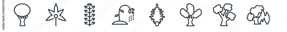 linear set of nature outline icons. line vector icons such as the maples tree, palmatelly, american mountain ash, pollen, eastern hemlock tree, forest fire vector illustration. linear set of nature outline icons. line vector icons such as the maples tree, palmatelly, american mountain ash, pollen, eastern hemlock tree, forest fire vector illustration.