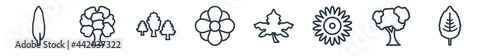 linear set of nature outline icons. line vector icons such as willow leaf, chestnut oak tree, silver maple tree, essence, sycamore tree, plum leaf vector illustration.