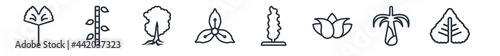 linear set of nature outline icons. line vector icons such as ginkgo, japanese, pignut hickory tree, iris, tulip tree tree, linden leaf vector illustration.