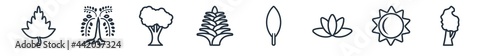 linear set of nature outline icons. line vector icons such as hawthorn tree, black willow tree, american chestnut tree, yucca, magnolia leaf, black birch vector illustration.