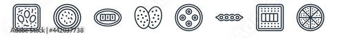 linear set of food and restaurant outline icons. line vector icons such as soy eggs, sour soup, char siu, shaobing, xiao long bao, cong you bing vector illustration.