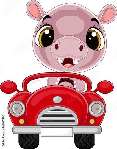 Cartoon baby hippo driving red car