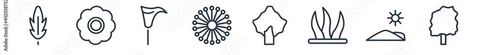 linear set of nature outline icons. line vector icons such as acicular, anemone, calla, dandelion, poplar, cypress vector illustration. linear set of nature outline icons. line vector icons such as acicular, anemone, calla, dandelion, poplar, cypress vector illustration.