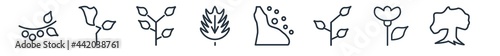 linear set of nature outline icons. line vector icons such as hawthorn, gladiolus, tea, oak, snowslide, beech vector illustration.