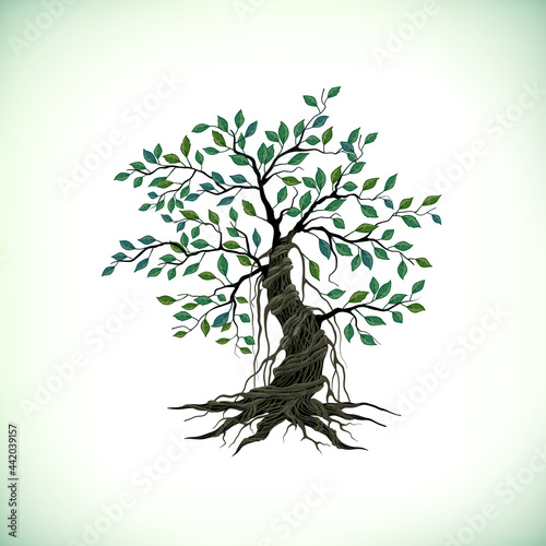 banyan tree logo vector, useful for wall art design