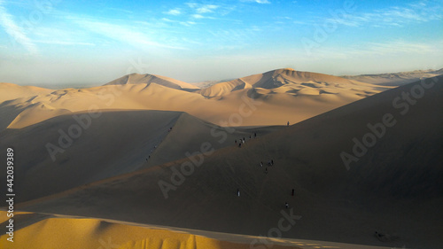 Desert dune 