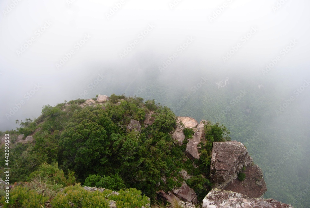 Beautiful landscape in canyon with stunning green view in Rio Grande do Sul, Brazil. mountain weather