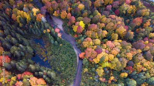Beautiful aerial views of autumn fall foliage landscape in Wentworth valley,  Nova Scotia. Autumn colors of  Nova Scotia, Canada