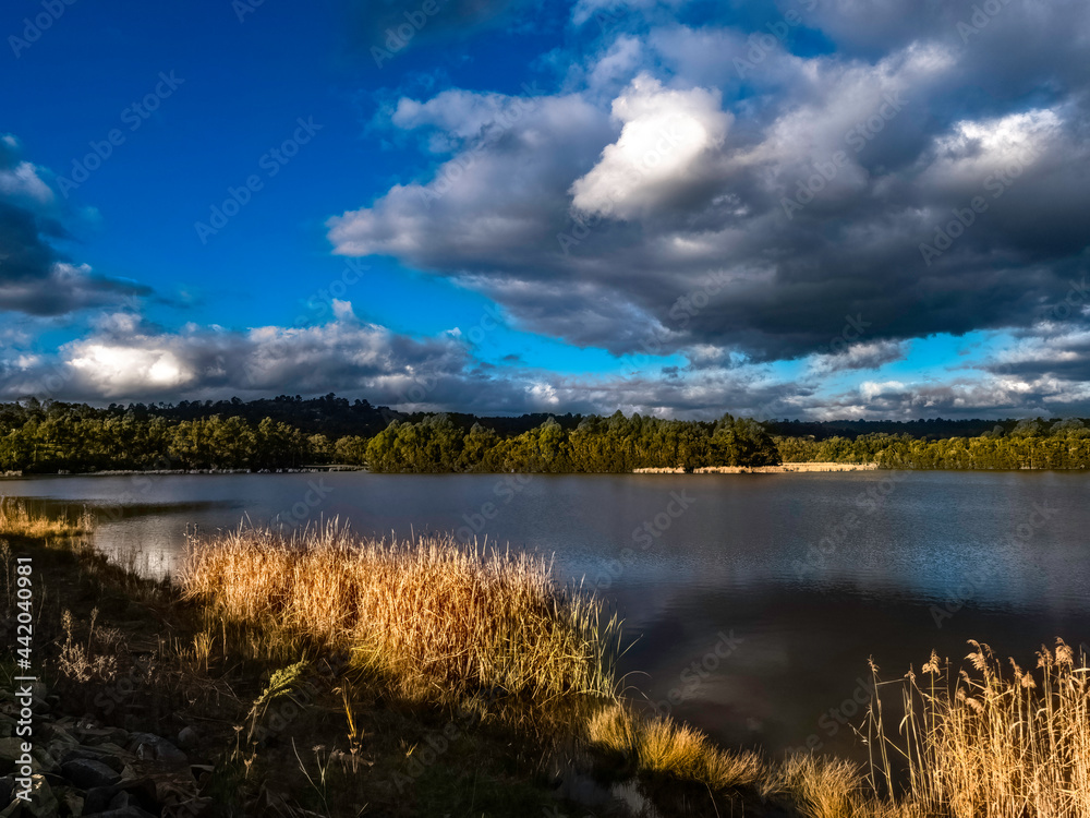 Afternoon Light Lake Afternoon Light Lake