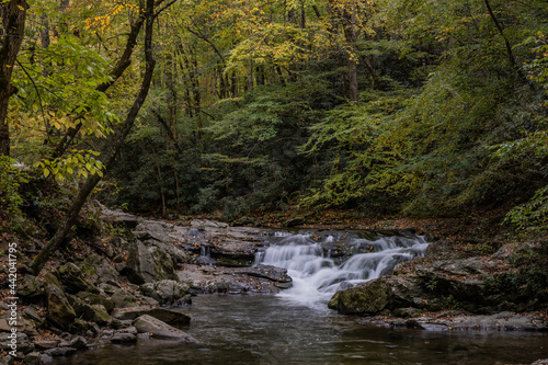 Leaves Begin to Change Over Rushing Creek
