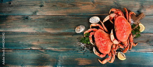 Freshly cooked crab with oyster shells and seasoning in flat lay format for seafood background photo