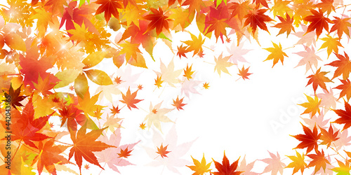 紅葉　もみじ　和紙　背景