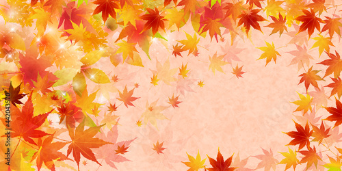 紅葉　もみじ　和紙　背景