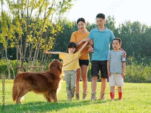 Happy family of four and pet dog in the park © eastfenceimage