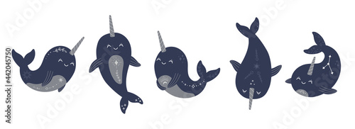 Cute mystic narwhals collection, magic celestial baby whale set. Boho sea animals with star, moon and constellation modern trendy hand drawn vector illustration, flat cartoon style on white background