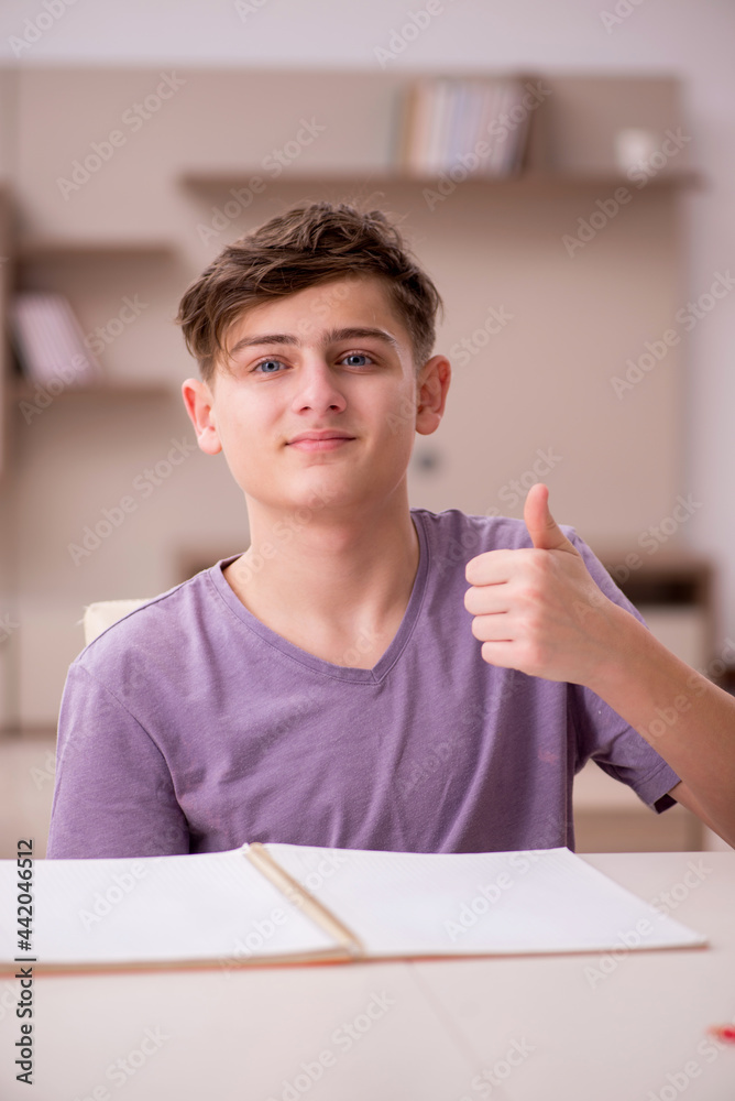 Schoolboy preparing for exams at home Schoolboy preparing for exams at home