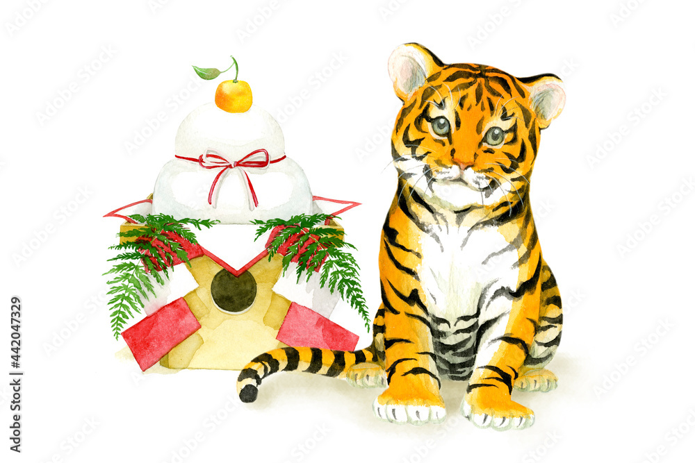 A baby tiger sitting beside Kagamimochi, Japanese new year ornament