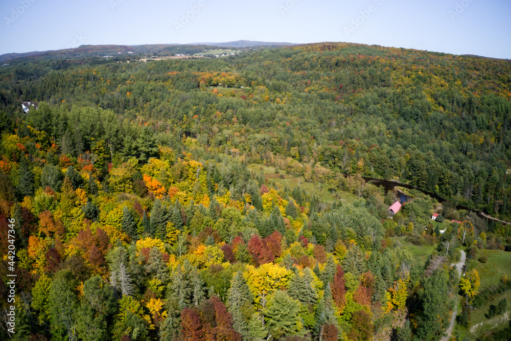 Aerial view of the colors of Fall in the mountains with  a clear blue sky